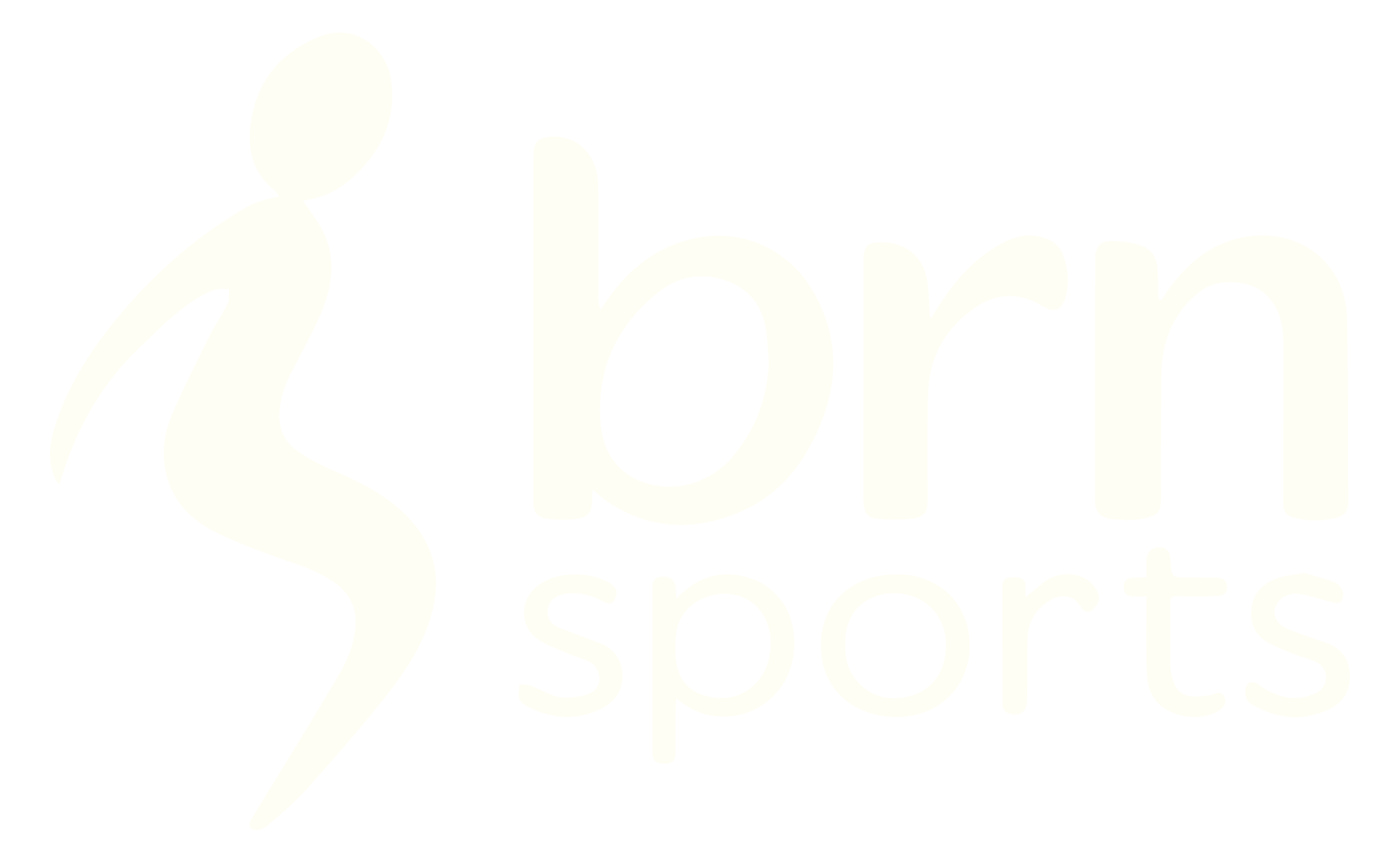 BRN Sports